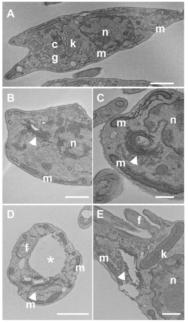 Figure 10