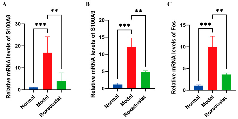 Figure 7