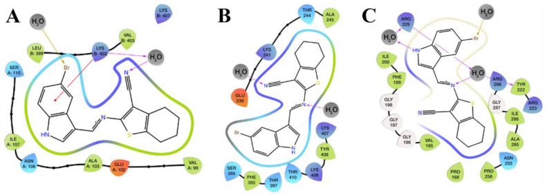 Figure 9