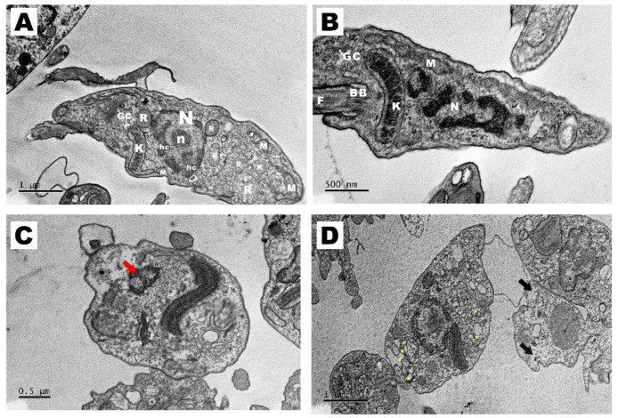 Figure 11