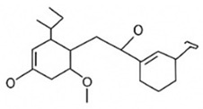 Figure 22