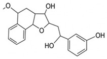 Figure 24