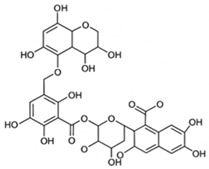 Figure 31