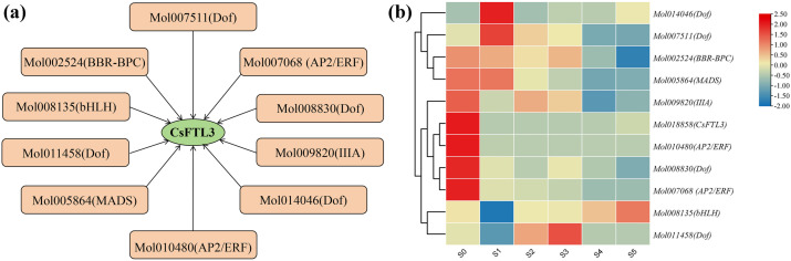 Figure 12