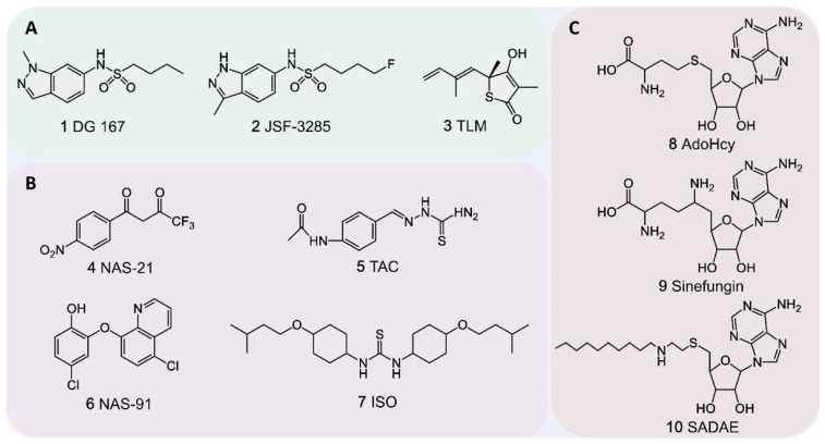 Figure 7