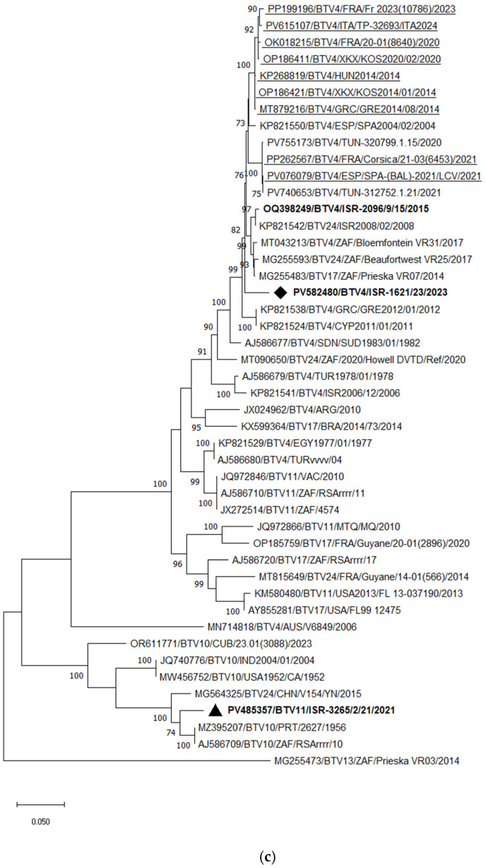 Figure 7