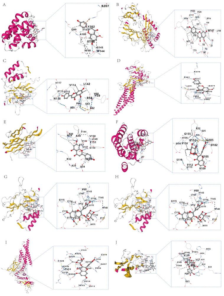 Figure 10