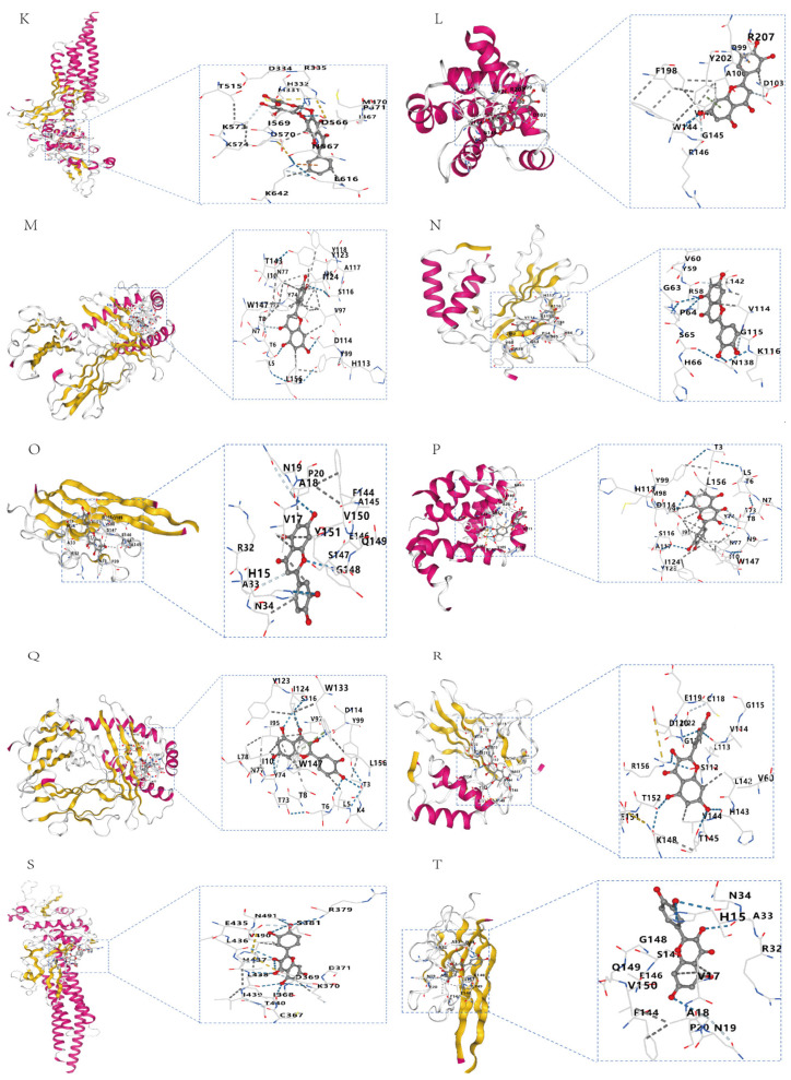 Figure 11
