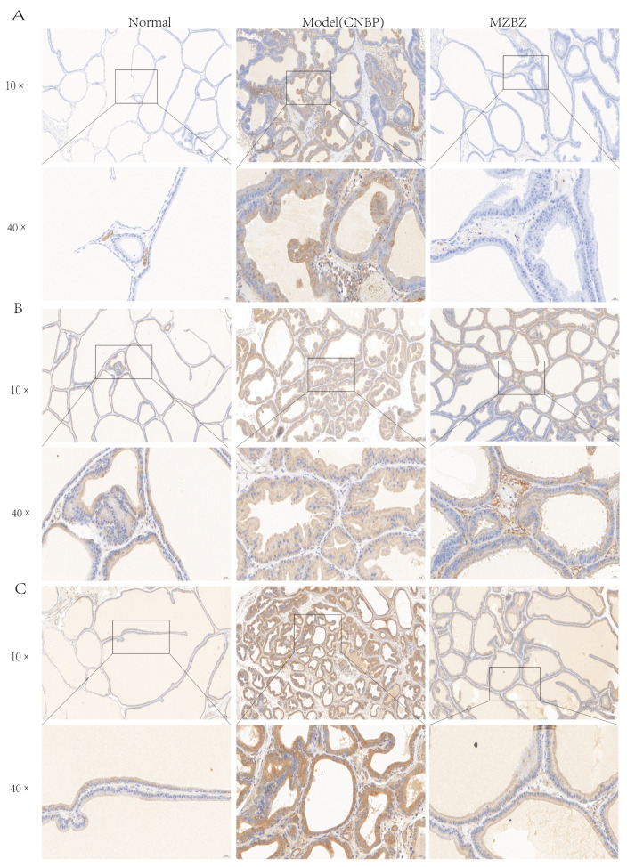 Figure 13