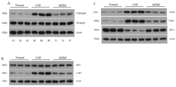 Figure 14