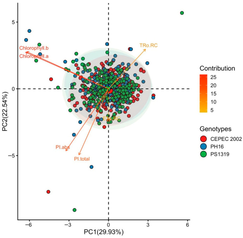 Figure 11