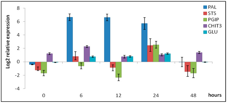 Figure 5
