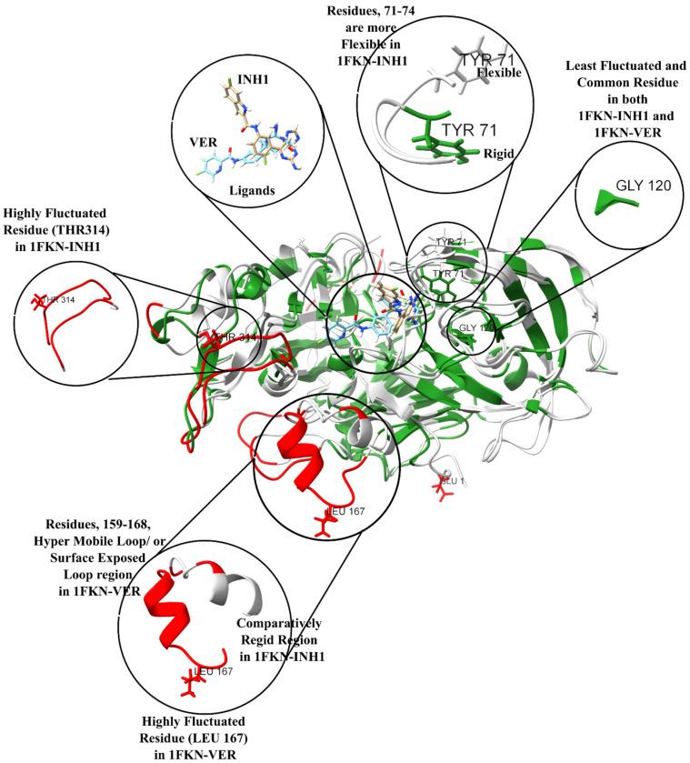 Figure 11