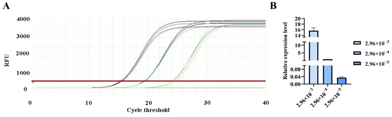Figure 10
