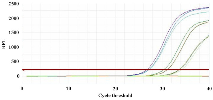 Figure 11