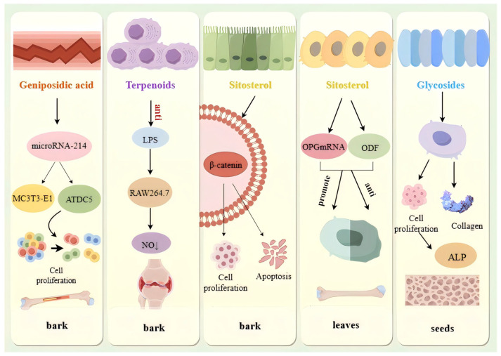 Figure 10