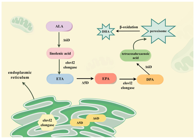 Figure 13