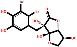 Figure 17