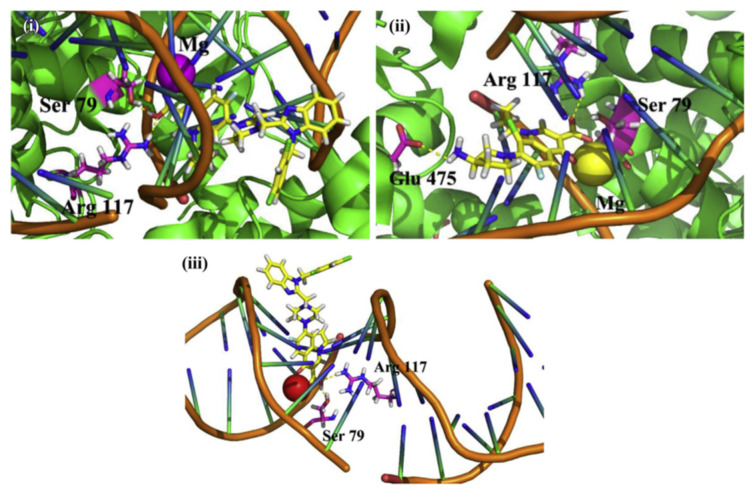 Figure 12