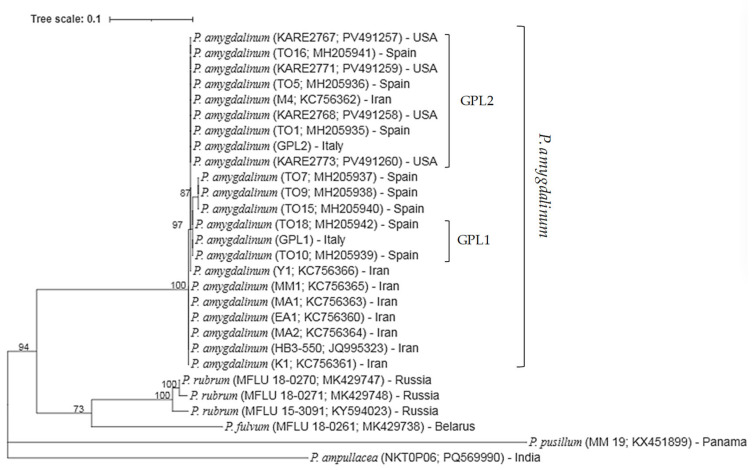 Figure 4
