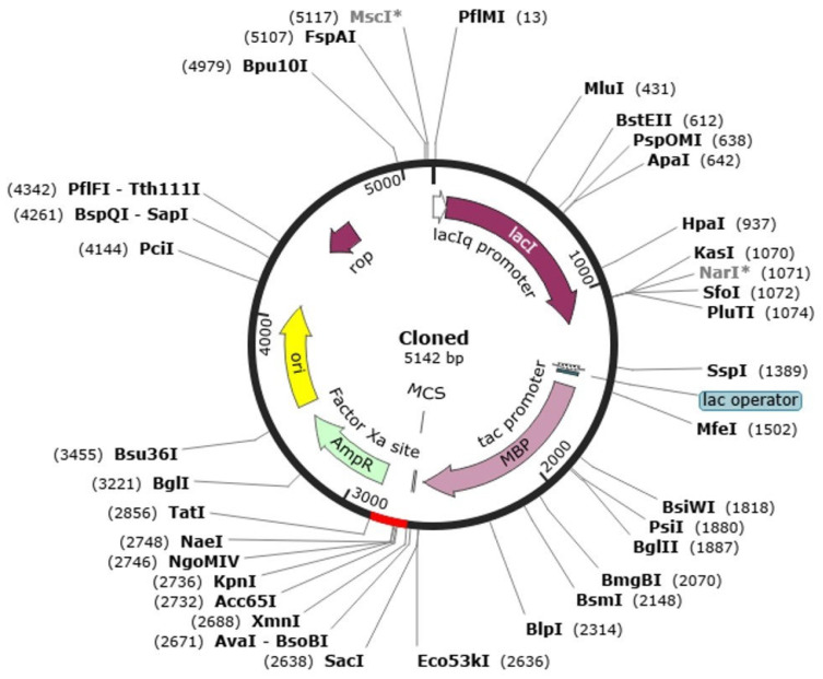 Figure 11