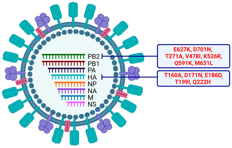 Figure 4