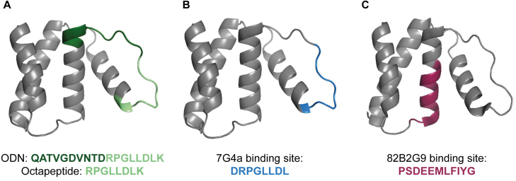 Figure 1
