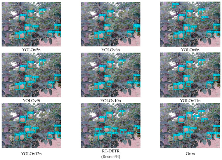 Figure 12