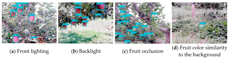 Figure 15