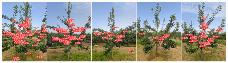 Figure 16