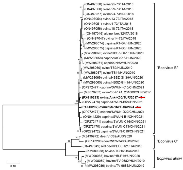 Figure 2