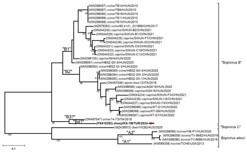 Figure 5