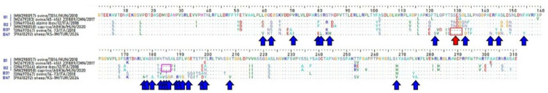 Figure 7
