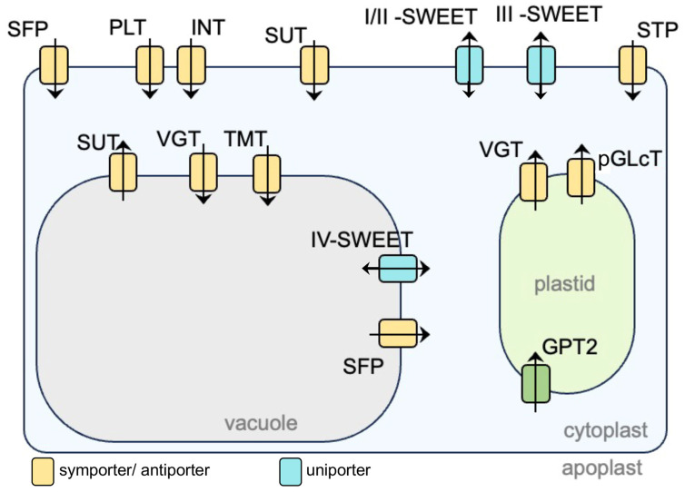 Figure 5