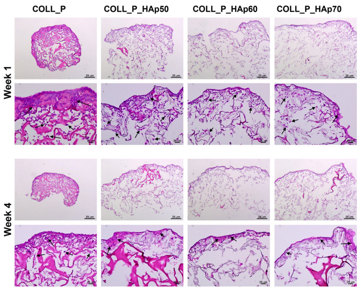 Figure 15