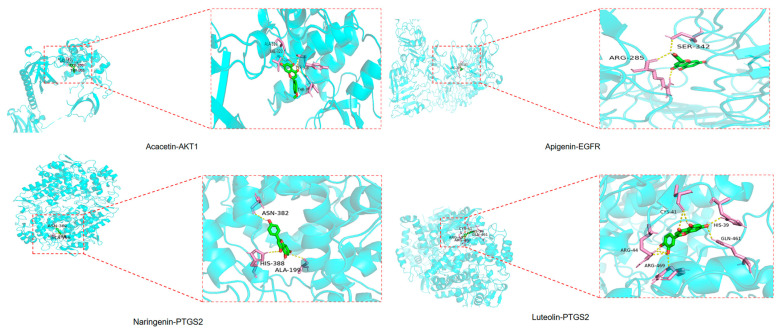 Figure 7