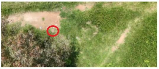 Figure 13