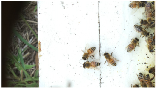 Figure 17
