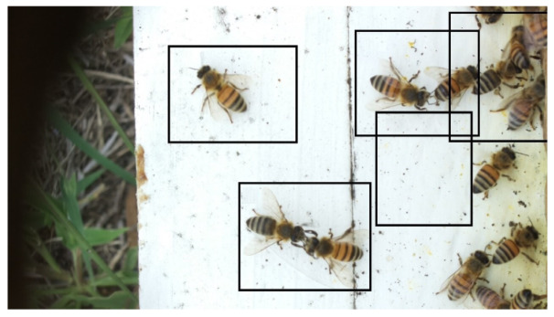 Figure 28