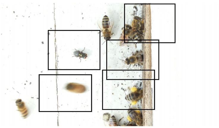 Figure 29