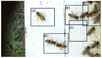 Figure 32