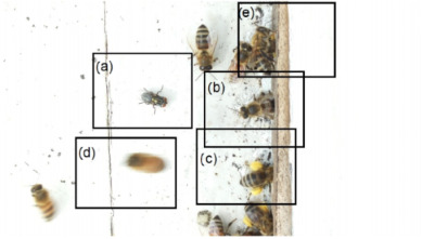 Figure 33