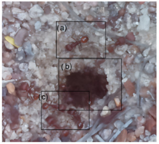 Figure 34