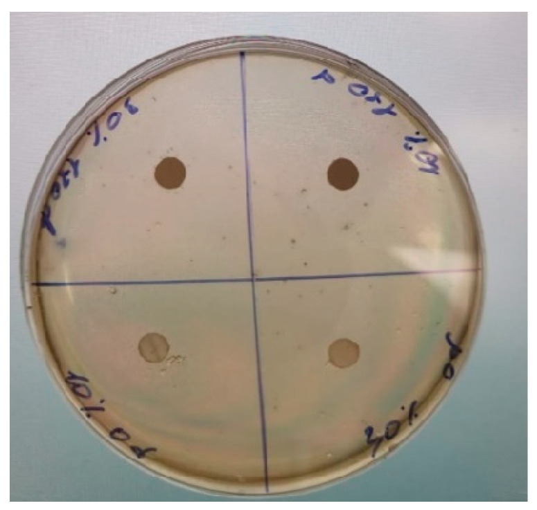 Figure 11