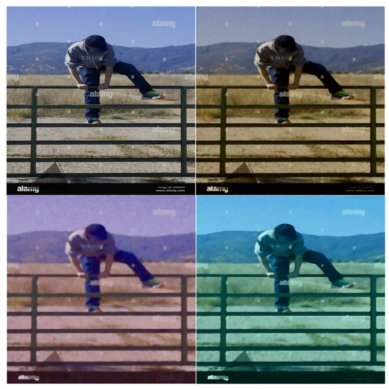 Figure 9