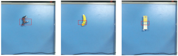 Figure 15