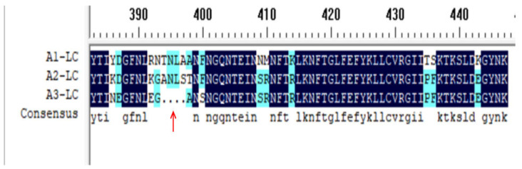 Figure 9