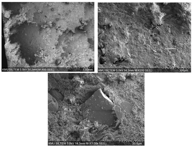 Figure 13