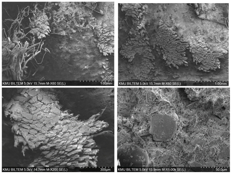 Figure 15