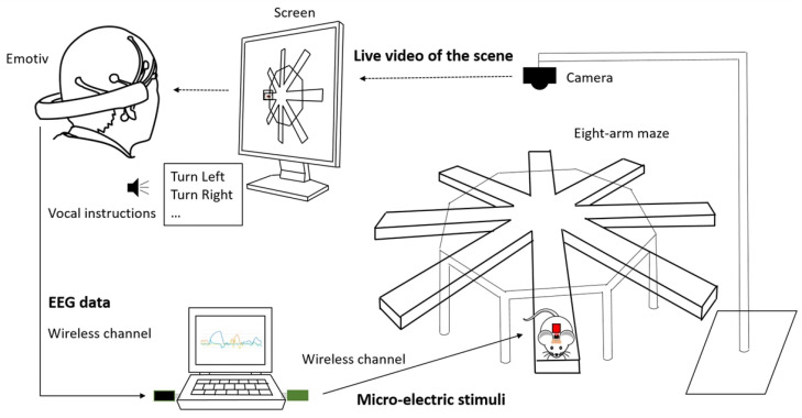 Figure 10